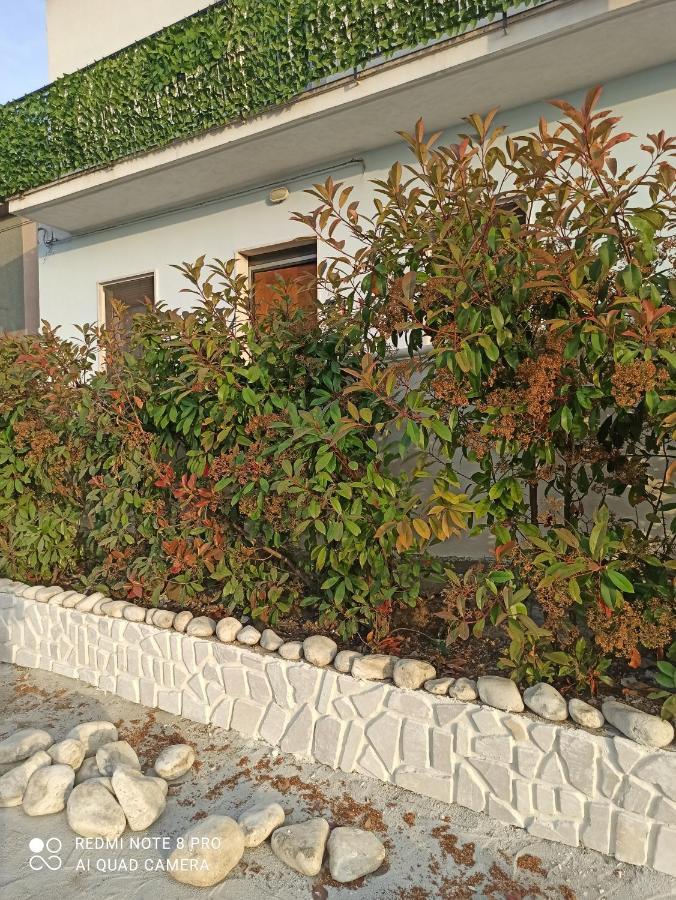 Villa Rosa Dei Venti House Campomarino  Exterior foto